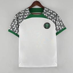 2223尼日利亚客场