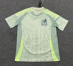 24-25墨西哥客场