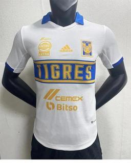 010934199老虎队2客