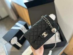 050439009（Size：20cm）