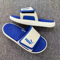 PM二代小标白蓝