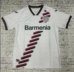 24-25勒沃库森客场