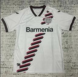 24-25勒沃库森客场