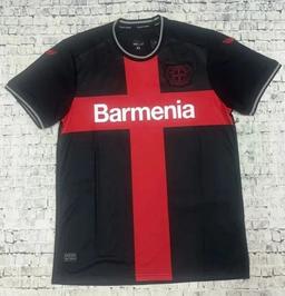 24-25勒沃库森主场