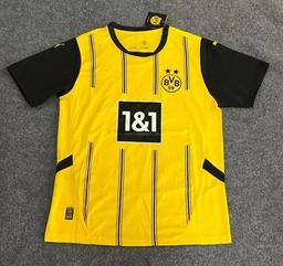 24-25多特蒙德主场