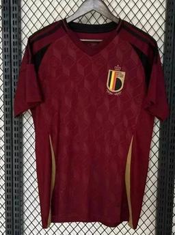 24-25比利时主场