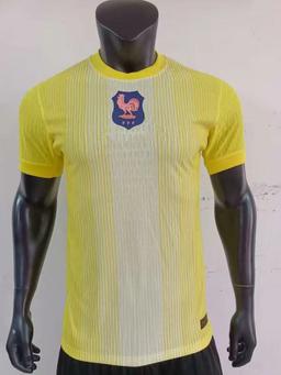 25-26法国守门员