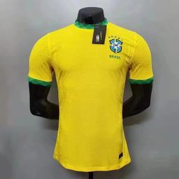 2020巴西主场球员版